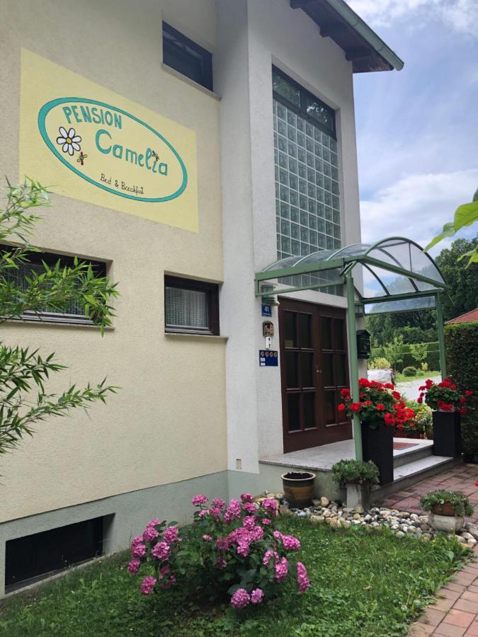 Haus Camelia Bad Tatzmannsdorf Exterior foto